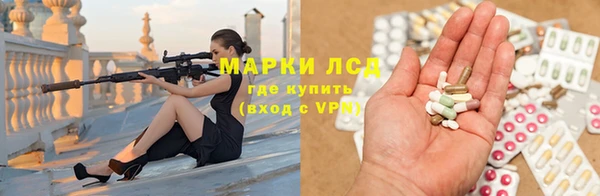 СК Алексин