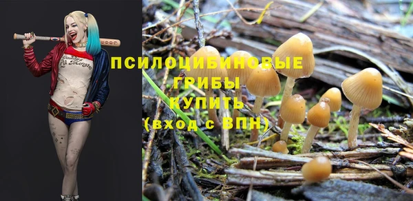 прущие крисы Абдулино