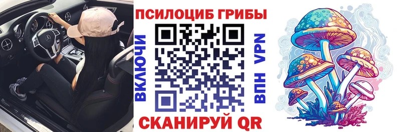 Галлюциногенные грибы Psilocybe  Берёзовка 